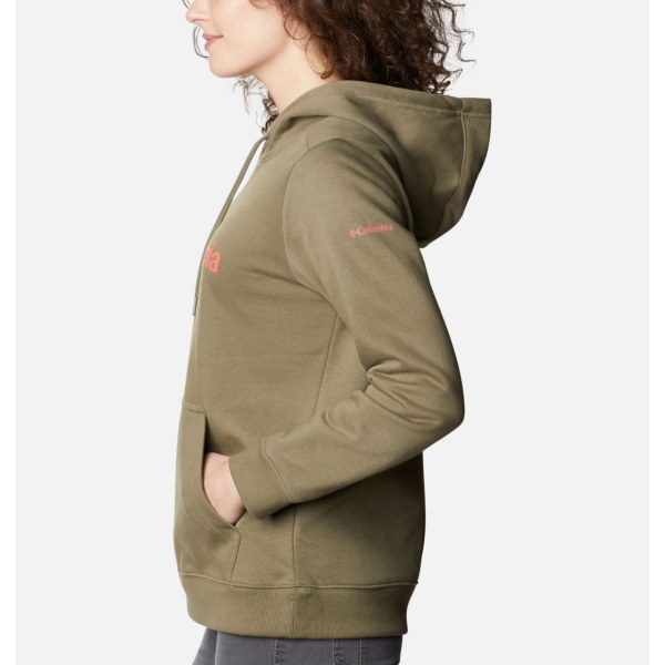 Mikiny S Kapucňou Columbia Logo Damske Siva Zelene | SK-HGT-632419