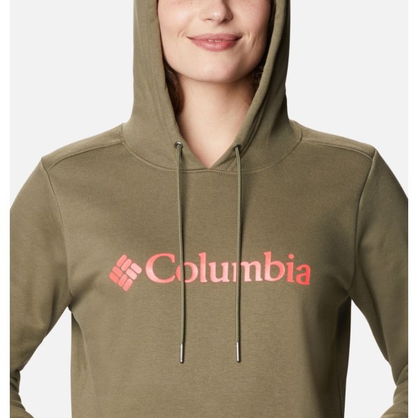 Mikiny S Kapucňou Columbia Logo Damske Siva Zelene | SK-HGT-632419