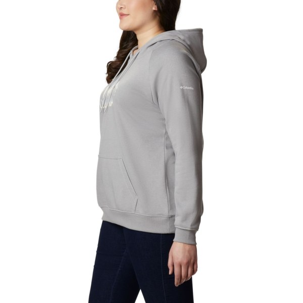 Mikiny S Kapucňou Columbia Logo French Terry Plus Size Damske Siva | SK-HQW-386105